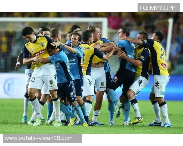 新城堡与布里斯班的精彩对决揭示足球战术与团队合作的魅力